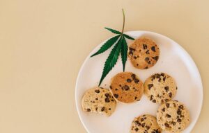 5 Reasons Why Delta 8 Cookies Pre-roll Is Gaining Popularity