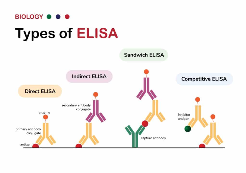 types of elisa